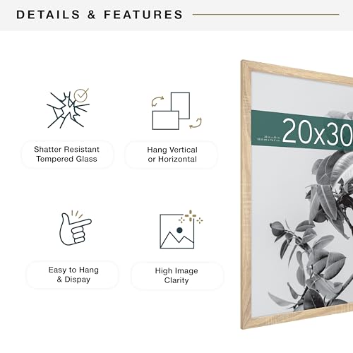 MCS Studio Gallery Poster Frame 20x30 Natural Woodgrain 1-Pack