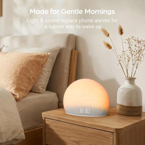 HOUSBAY Sunrise Alarm Clock with White Noise Sound Machine - Classic White