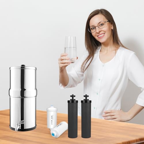 Water Filter Replacement for Berkey Gravity System - 2 Black Carbon & 2 Fluoride Filters