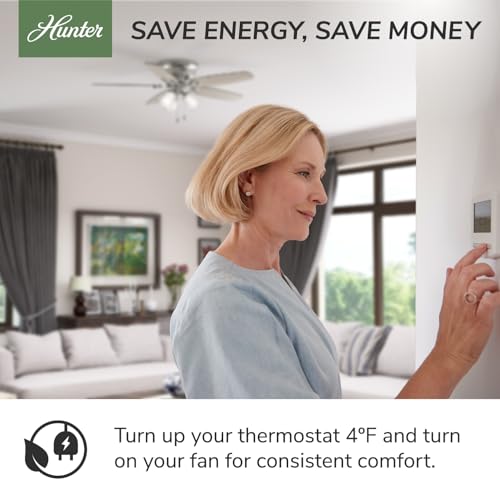 Hunter Low Profile IV 42 Inch Indoor Ceiling Fan - Snow White, No Light, Flush Mount