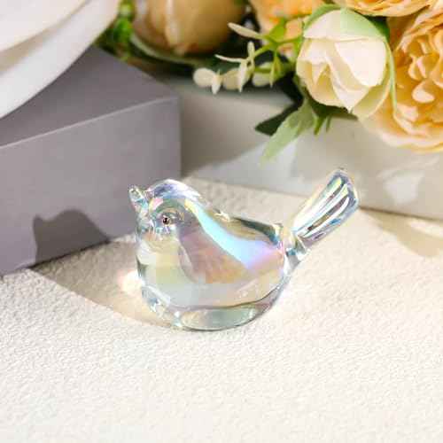 Ornalrist Crystal Clear Birds Figurines Home Decor, Glass Art Birds Collectible Figurines Paperweights Crystal Decor Gifts for Women Mom Friends (Clear)