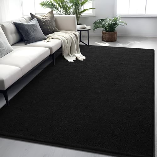 FALARK 7x10 Black Modern Minimalist Area Rug with Memory Foam Non-Slip Backing