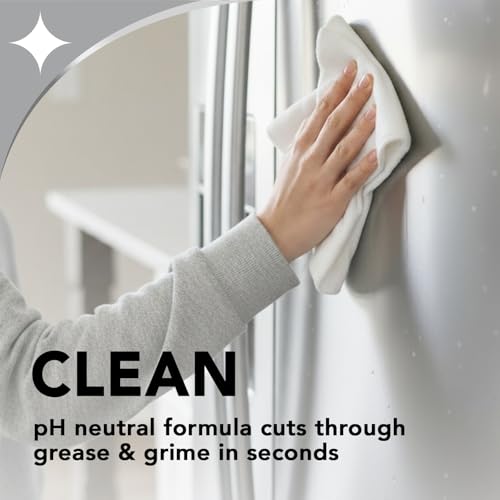 Weiman Unscented Stainless Steel Cleaner & Polish Spray 6 Pack, 22 Fl Oz