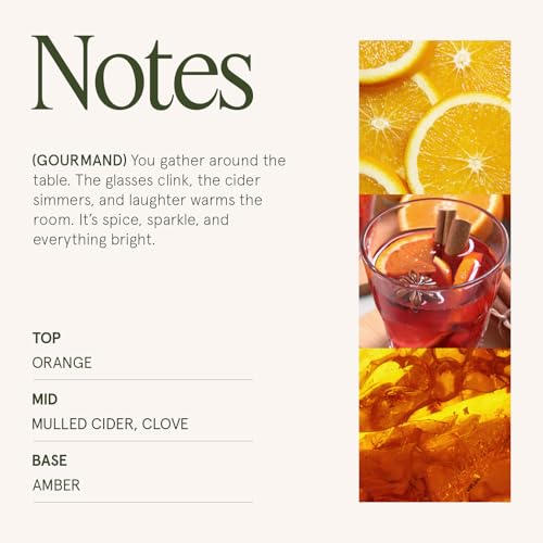 Sparkling Cider Mule Scented Candle - 19oz Soy Wax, Autumn Fragrance