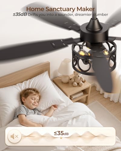 BLNAN 52 Inch Farmhouse Ceiling Fan with Lights & Remote, Dual-Color Blades, Quiet 6-Speed Reversible Fan for Living Room & Kitchen