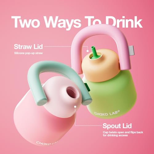 Pink & Red 33oz Insulated Water Bottle with Straw & Handle, Leakproof Flask