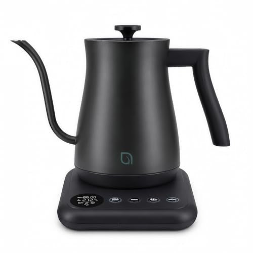WILLOW ECO SERIES 0.8L Black Gooseneck Electric Kettle with 5 Temp Presets & Keep Warm