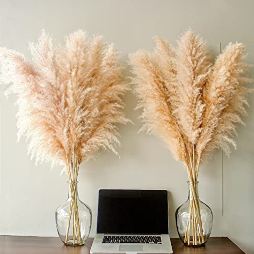 20 Stems 40-Inch Natural Pampas Grass Decor Tall for Boho Wedding Party Farmhouse