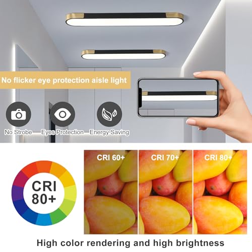 Tioolo Black and Gold Dimmable 4FT LED Ceiling Light with Remote for Kitchen & Home