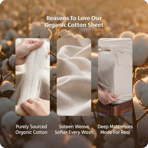 Linen Queen Size Organic Cotton Sheets - GOTS Certified, 300 TC, Soft & Breathable
