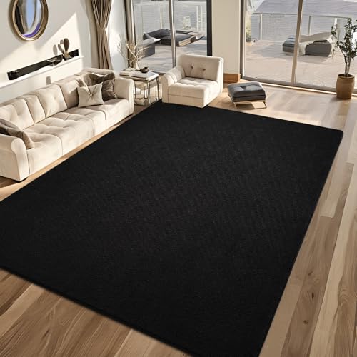 FALARK 7x10 Black Modern Minimalist Area Rug with Memory Foam Non-Slip Backing