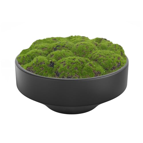 NAHARO Handmade Ceramic Moss Bowl - Black 11-Inch Artificial Plant Centerpiece