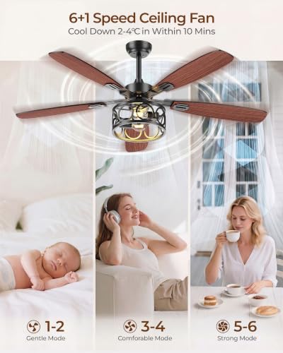 BLNAN 52 Inch Farmhouse Ceiling Fan with Lights & Remote, Dual-Color Blades, Quiet 6-Speed Reversible Fan for Living Room & Kitchen