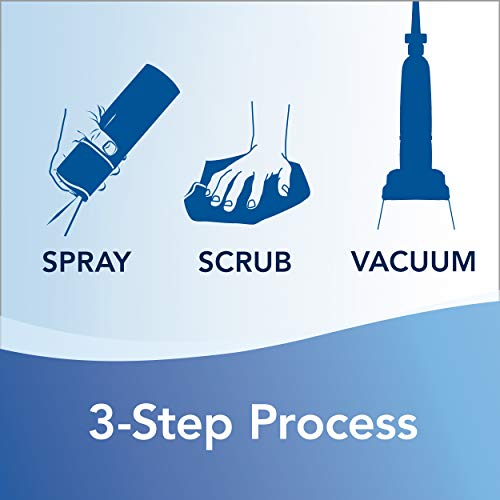 Heavy Traffic Carpet Foam Cleaner with Gain Scent - 4 Pack of 22oz, Febreze Variation