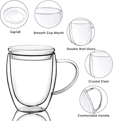 Fornzii 15 Oz Double Walled Glass Coffee Mugs with Glass Lids - Set of 2