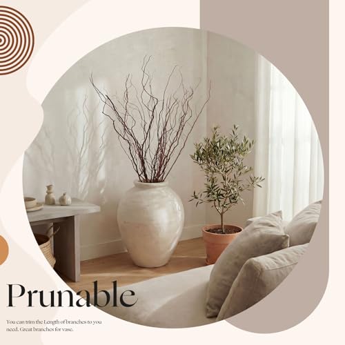 Natural Dried Willow Branches - 12 Pcs, 38 Inches for Rustic Decor, Floral Arrangements & Weddings - Variation: Natural / 38 Inches