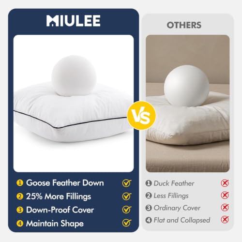 MIULEE 20x20 Inch Goose Feather Down Pillow Inserts Set of 2 - Soft Fluffy Decorative Cushions with Double Down-Proof Cover