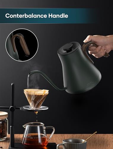 INTASTING Gooseneck Electric Kettle with ±1℉ Temperature Control 0.9