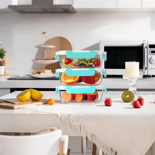 Glass Meal Prep Containers 10 Pack - Airtight BPA-Free Food Storage, 22 oz