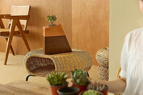 Wooden Cremation Urn for Human Ashes with Ceramic Plant Pot and Bamboo Stand