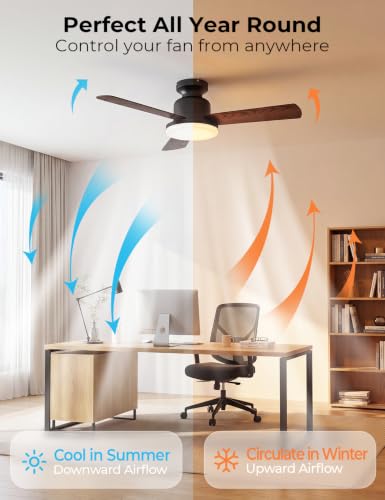42-Inch Smart Ceiling Fan with Lights and Remote, Black + Walnut Finish, Low Profile