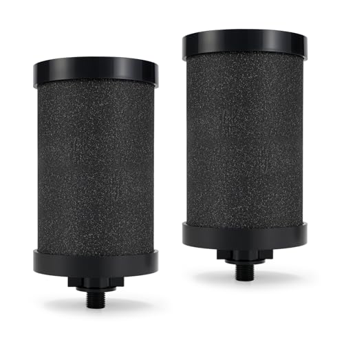 2 Pack Replacement Water Filter for Alexapure Pro System - Coconut Shell Carbon
