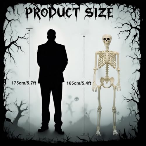 Oceanite 2-Pack Life Size 5.4FT Skeleton Halloween Decorations, Articulated Joints