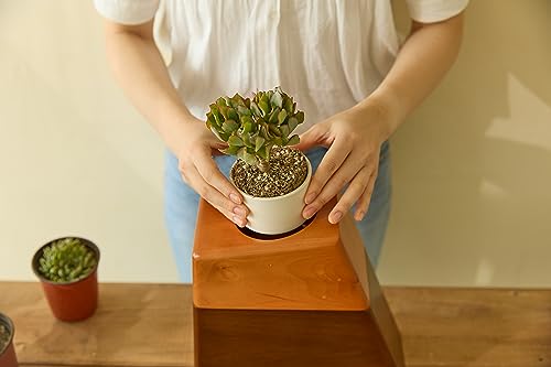 Wooden Cremation Urn for Human Ashes with Ceramic Plant Pot and Bamboo Stand