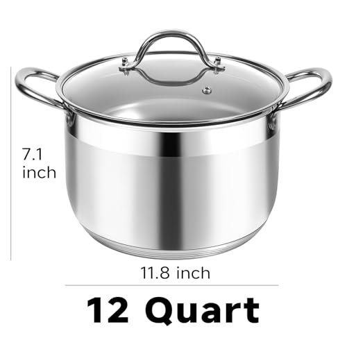 Kirecoo 12 Quart Stainless Steel Heavy Duty Stock Pot with Visible Lid