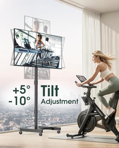 Black Mobile Rolling TV Stand for 13-50 Inch Screens, VESA Mount
