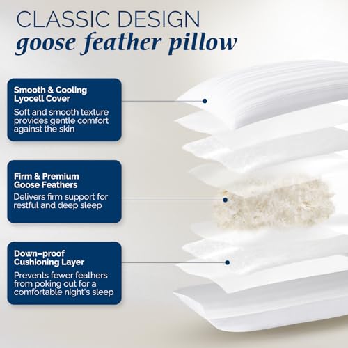 Downluxe Queen Size Goose Feather & Down Pillows Set of 2 Classic Horizontal Stripes