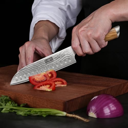 HOSHANHO Damascus Chef Knife Set - Paring, Santoku, Nakiri, Bread Knife