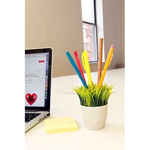 Kikkerland Potted Pen Stand (SC24)
