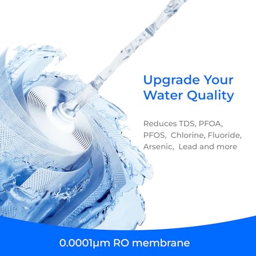 Waterdrop C1RF Water Filter Replacement for C1S C1H RO Systems, 12-Month Lifespan
