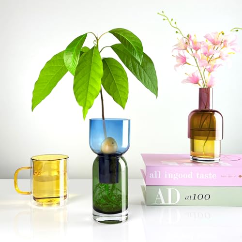 Cloudnola Reversible Glass Flower Vase Set of 2 - Blue, Green, Pink & Yellow Decorative Gift