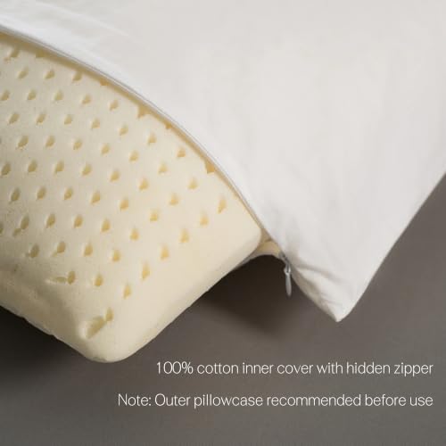 JOTOM Standard Mid Loft 100% Natural Talalay Latex Pillow for Side & Back Sleepers