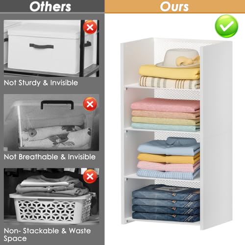 Hencawima 2-Tier Stackable Closet Organizer Baskets, Durable Iron & Wood
