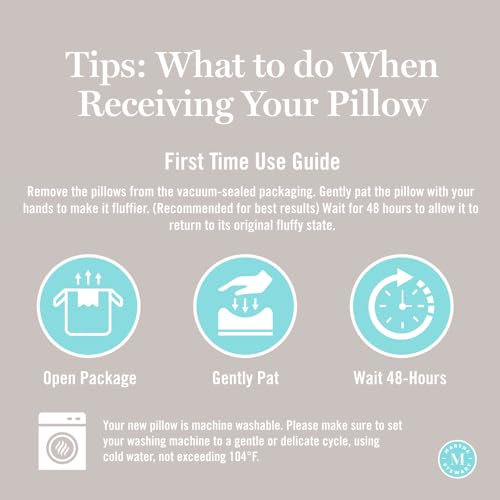 Queen Size Pillow Set of 2 - White, Soft Cotton, Supportive & Plush