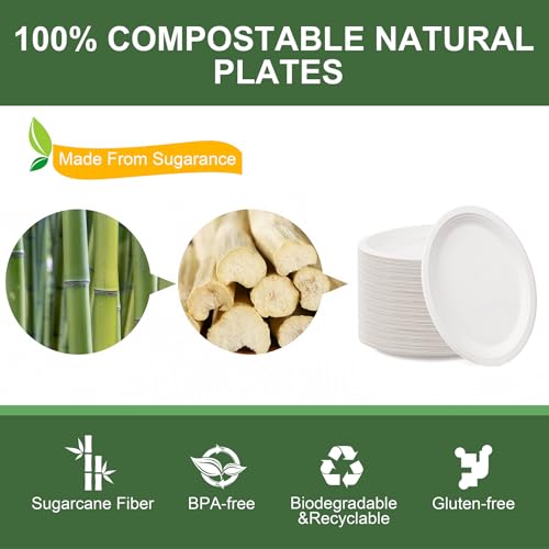 WELLIFE 12 Inch Compostable Paper Plates 125-Pack White Heavy Duty Eco-Friendly