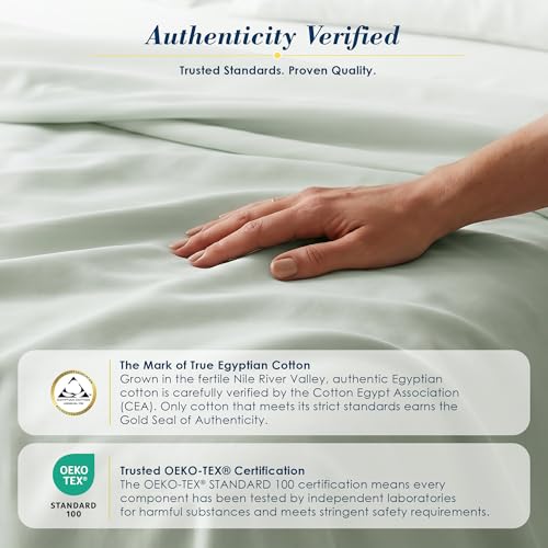 Therapedic 100% Egyptian Cotton King Sheets Set - Sage, 6-Piece Luxury Bedding