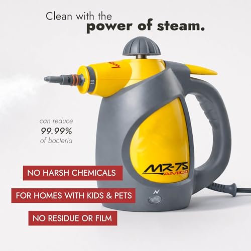 Handheld Steam Cleaner for Bed Bugs Auto Grout - 210°F Deep Sanitizing