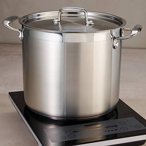12 Quart Stainless Steel Stock Pot with Lid - Heavy Duty Cooking Pot