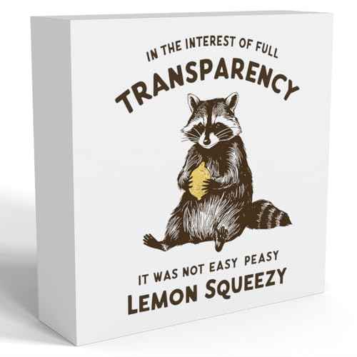 Funny Raccoon Decor Racoon Bathroom Decor Cute Raccoon Decor Raccoon Pet lovers Gift Racoon Gifts for Women Men Animal Gifts for Family Friends Wooden Box Sign for Home Office Table Decor