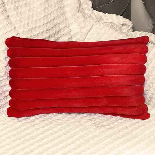 2 Pack 12x20 Pillow Cover Velvet Pillow Covers, Faux Fur Oblong Throw Pillow Covers for Living Room Decorations Throw Pillow Case, Throw Pillow Cover Cushion Cover for Home Sofa Bedroom Car, Red
