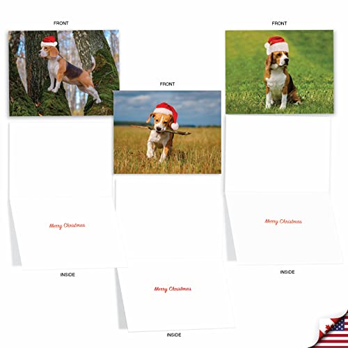 Bouncing Beagles Christmas Notecards – Best Card Co. 20 Assorted 4x5 Cards