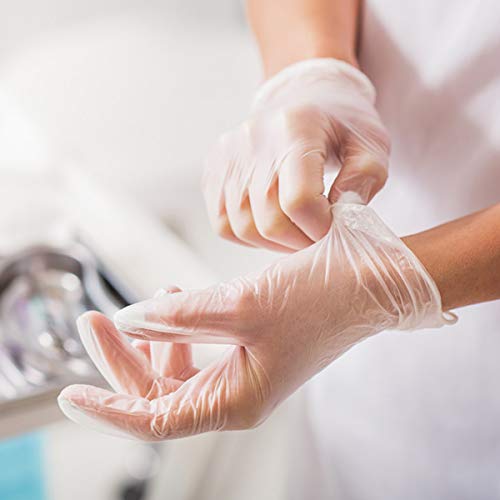 Large Case of 1,000 Latex-Free Clear Vinyl Exam Gloves - Powder-Free