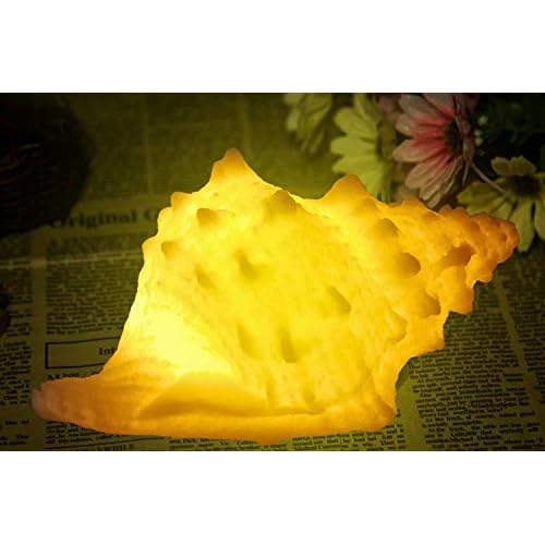 GREENIC Portable Conch Shell Beach Themed Night Light w Timer for Kids Adults Bedroom Nightstand Lamp Nautical Lighting Battery Operated, Warm White