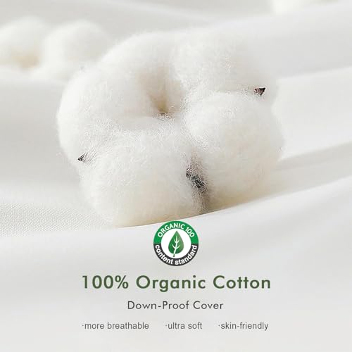 White 20x20 Inch Feather Down Throw Pillow Inserts Set of 2 - Organic Cotton Cover