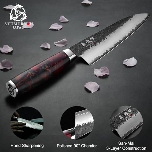 8.27 Inch Japanese Gyuto Chef Knife - Black Forged VG10 Steel, Hand-Sharpened