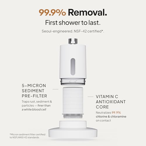 SecondShower Filtered Shower Head for Hard Water - Matte White with Pure Silver Variation